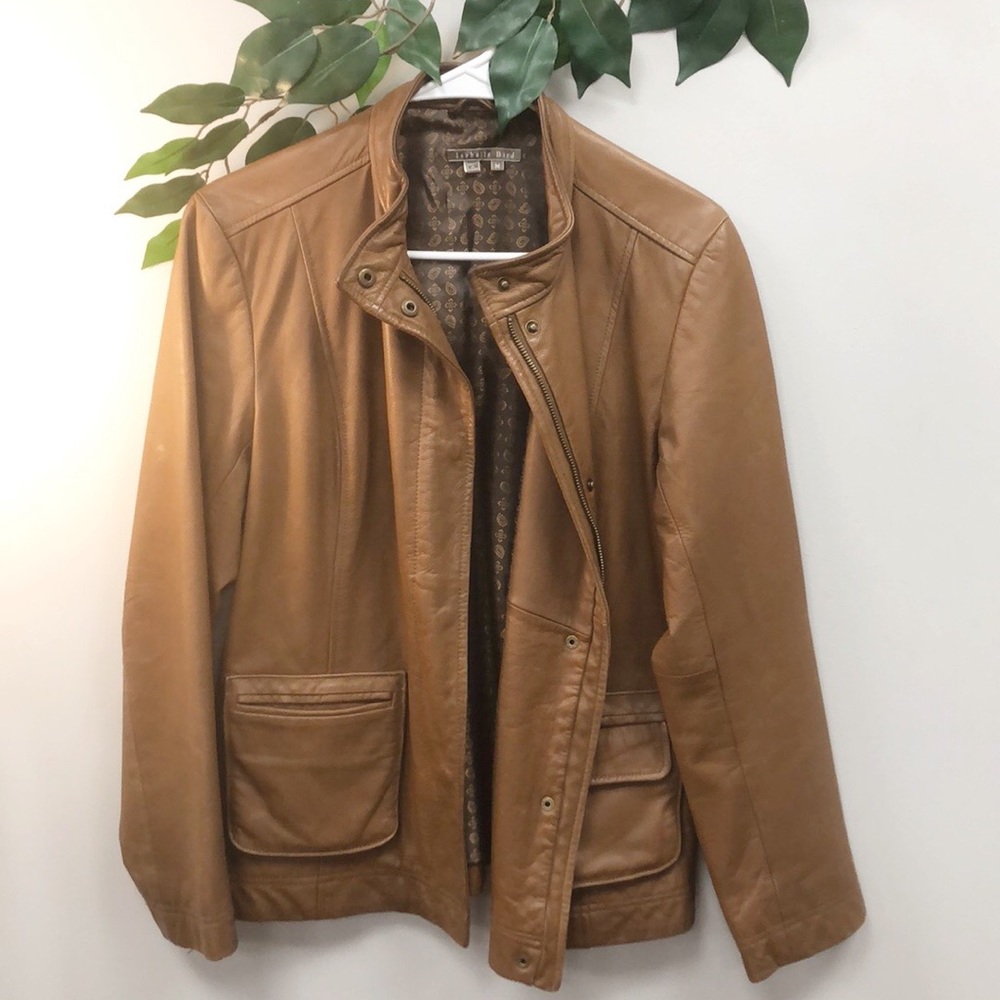 Anthropologie | Isabella Bird leather jacket